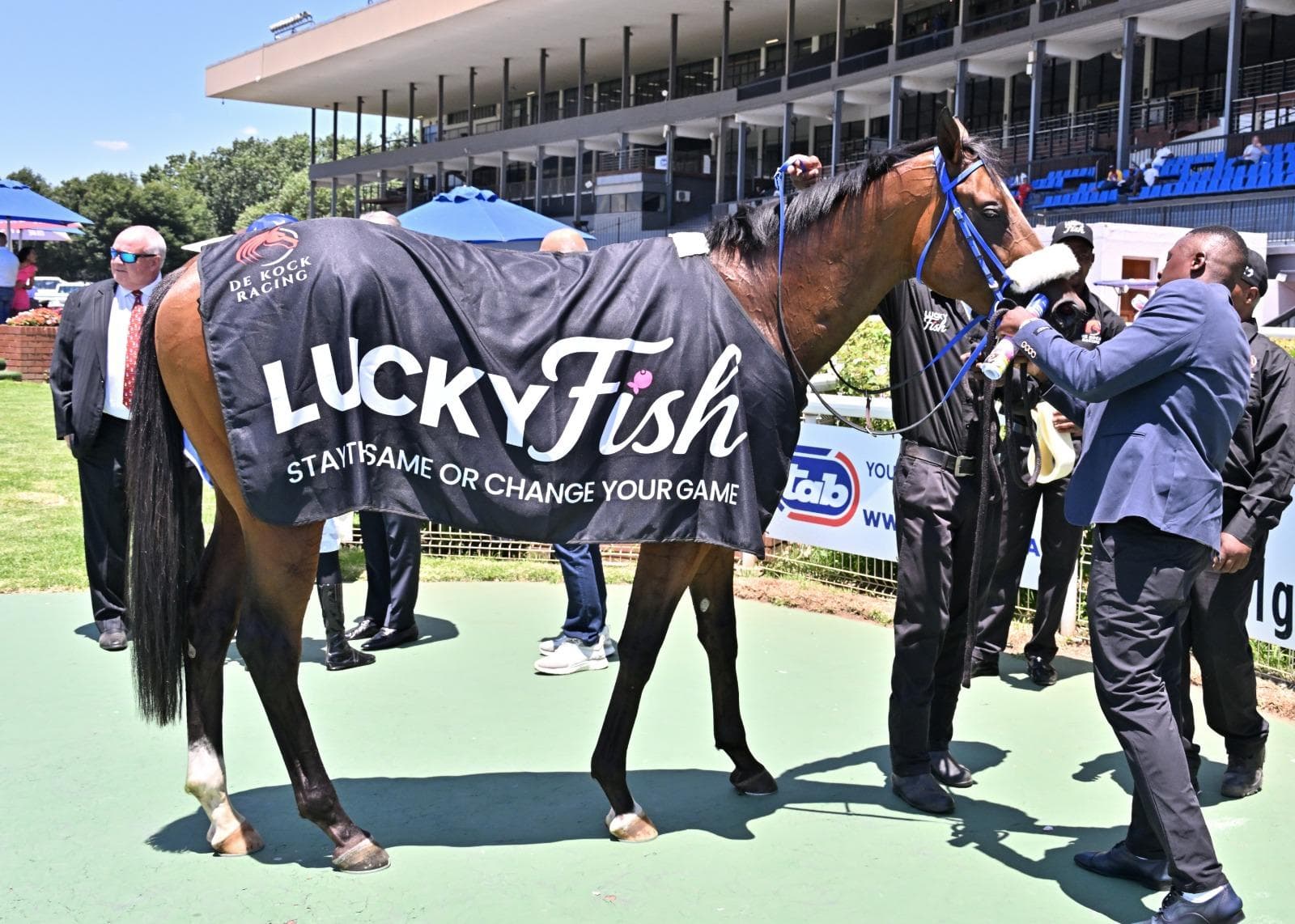 Runner comments, Turffontein Thursday