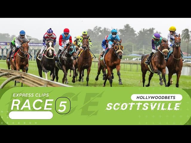 Curious Girl - Hollywoodbets Scottsville, 25 January 2026