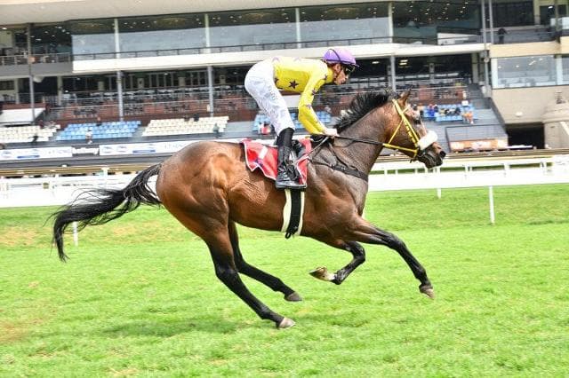 Runner comments, 16 and 18 December