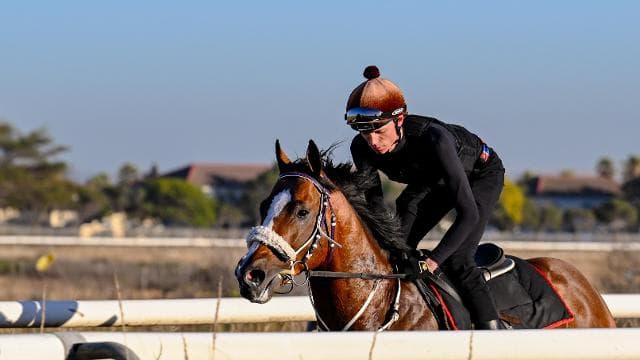 Jan Van Goyen travelled well