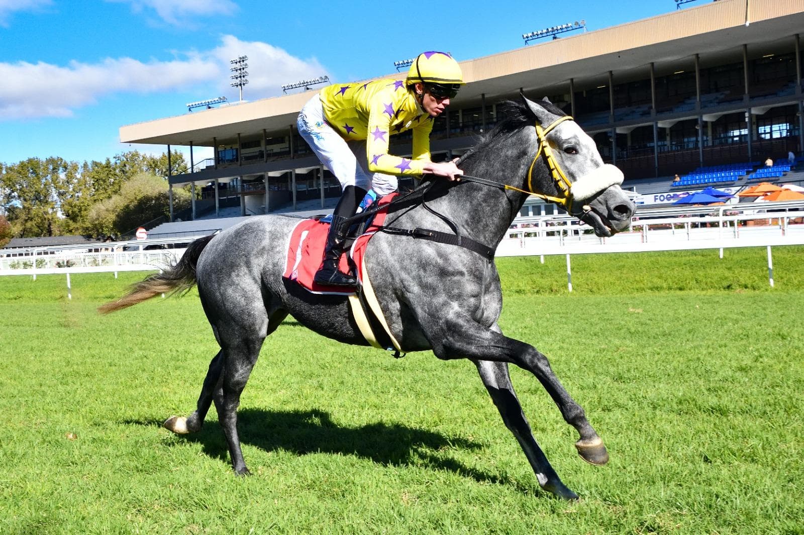 This week's Vaal runner comments
