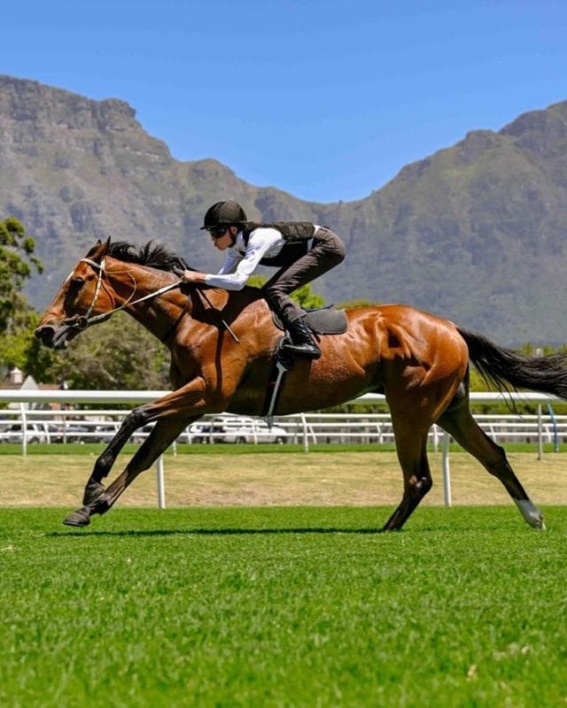 Dave The King, Cape Town