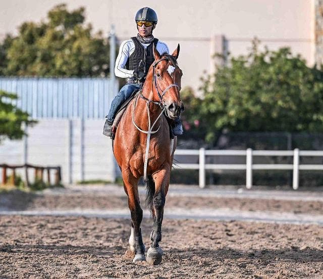 Weekend runner comments 13/14 December 2025