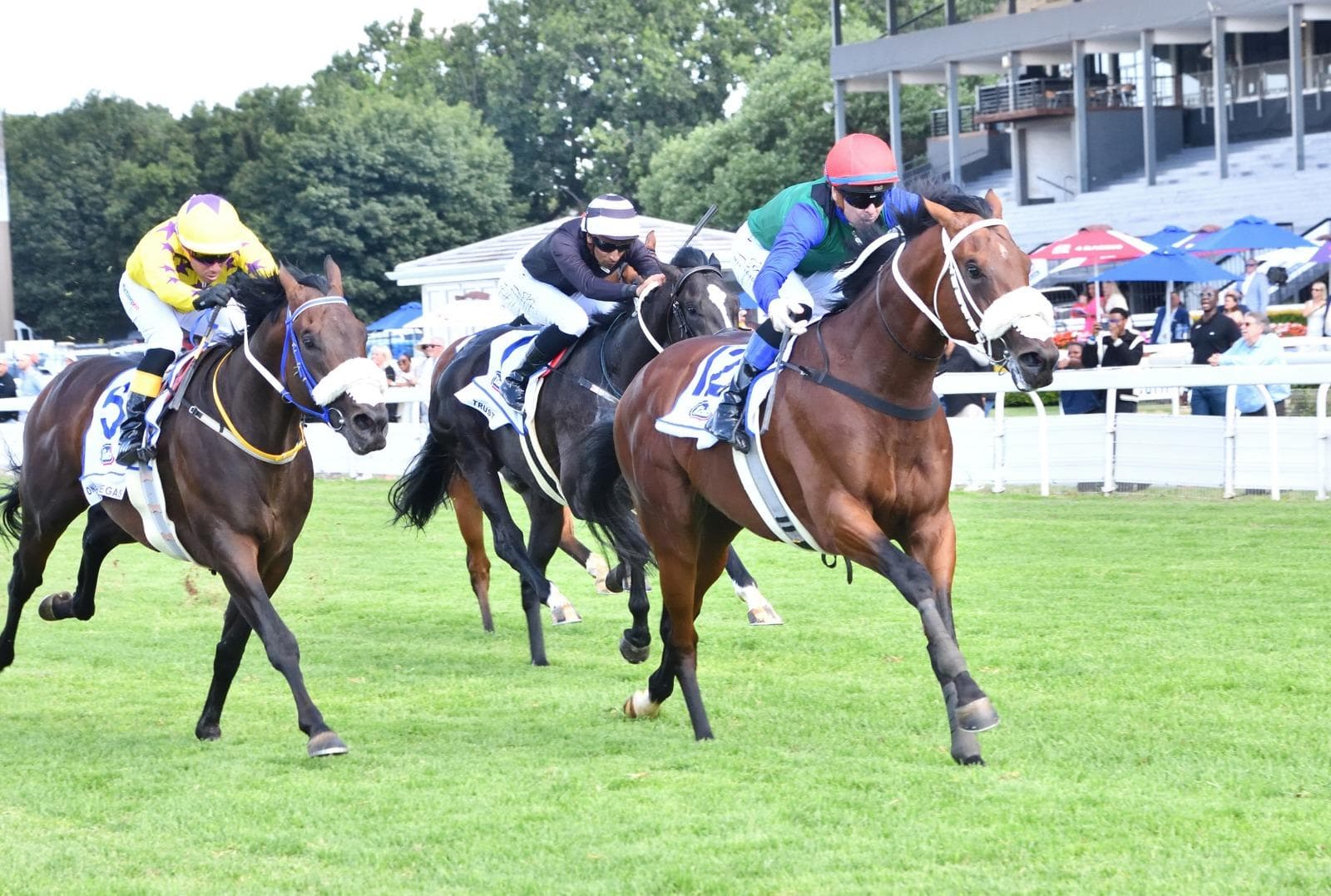 Appeal Ruling Raises Serious Questions For NHA