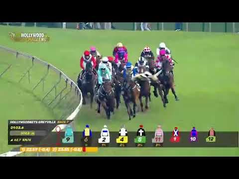 Dave The King: 2025 Gr1 Gold Challenge